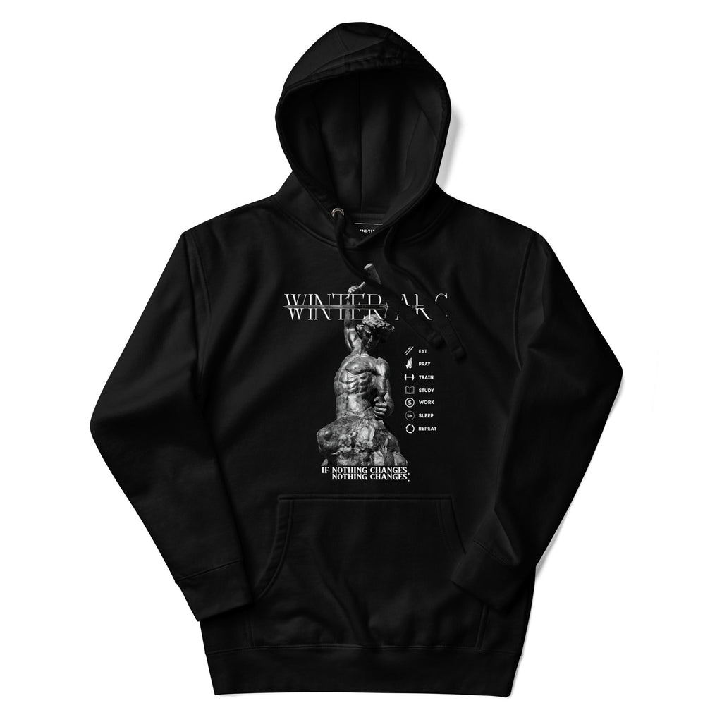 Winter Arc Hoodie [ʟɪᴍɪᴛᴇᴅ ᴇᴅɪᴛɪᴏɴ]